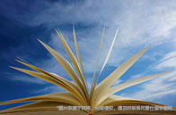 加拿大熱門申請專業有哪些？