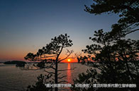 最全解析！美國大學熱門專業介紹