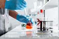 新加坡國立大學法學院碩士專業匯總（含學費）