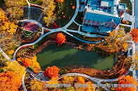 新加坡名校研究生簡歷書寫指南一覽