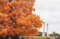 南洋理工大學(xué)生物工程本科讀幾年？