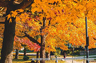 新加坡國立大學心理學專業排名多少？