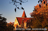 新加坡大學2024QS排名變化（公立/私立）