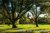 新加坡留學住宿費用多貴？