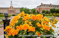 注意！南洋理工大學(xué)發(fā)布學(xué)費補助細節(jié)