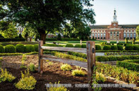 加拿大最佳帶薪實習高校排名TOP20