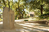 新加坡國(guó)立大學(xué)DSE專業(yè)介紹