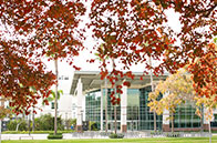 新加坡留學雅思要求多少分？