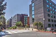 新加坡博士讀幾年？4年畢業！