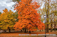 英國(guó)電子電氣工程含金量解析