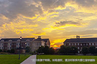 加拿大計算機學科排名前十