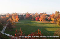 新加坡大學人工智能排名多少？