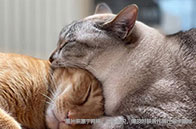 2025利茲大學qs世界排名第幾？第82位！