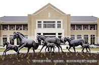 約克大學利用3D打印技術感受花粉世界