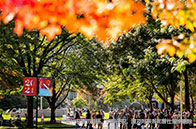 美國研究型碩士錄取條件有哪些？