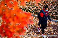 斯坦福大學(xué)博士申請條件有哪些？