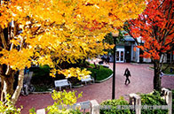 出國留學(xué)申請人群分類