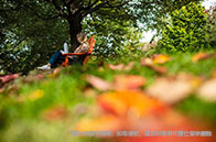 2025QSTOP50海外院校標(biāo)化要求一覽