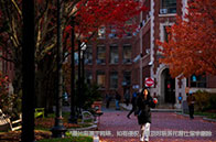 為什么選擇去國外留學(xué)？