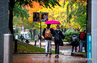 全程規劃|大學生如何準備美研申請