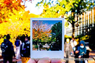 麥克馬斯特大學qs排名第幾？上漲至第176