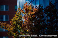 多倫多大學社會工作學院怎么樣？