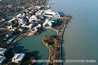 lse本科就業情況怎么樣？