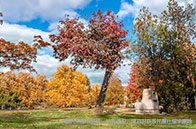 NUS研究生喜歡招收國內哪些院校？