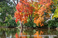 新加坡社科大學(xué)金融碩士含金量解析