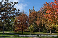 新加坡國立大學難進嗎？難！