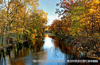 英國留學選商科還是工科？（從QS榜單出發）