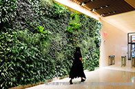 新！NUS大學醫療保健行為與實施科學碩士首次招生中