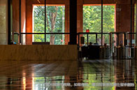 川普放言畢業(yè)即可獲綠卡！美國(guó)留學(xué)生獲得綠卡有多難？