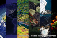 新加坡國立大學研究型項目招生人數(shù)統(tǒng)計