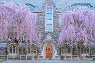 普渡大學2025世界排名第幾？QS暴漲至89位