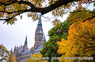 南洋理工大學金融工程碩士錄取條件有哪些？