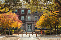 STDU推出320萬美金幼鯊基金項目