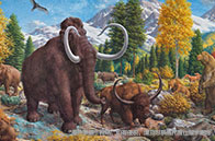 2024QS多倫多大學(xué)世界學(xué)科排名一覽