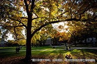 新加坡名校申請咨詢常識匯總