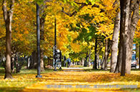 麥吉爾大學地理科學碩士課程設置介紹