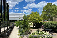 AP考試成績可以取消嗎？是的！