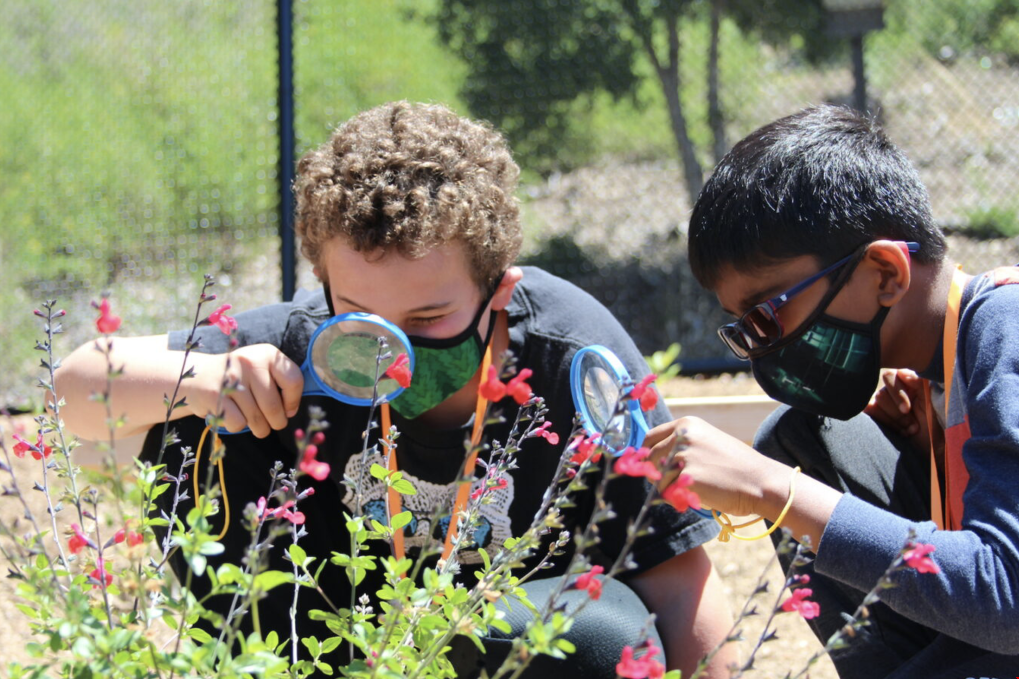 伯克利社團(tuán).png 伯克利社團(tuán).png