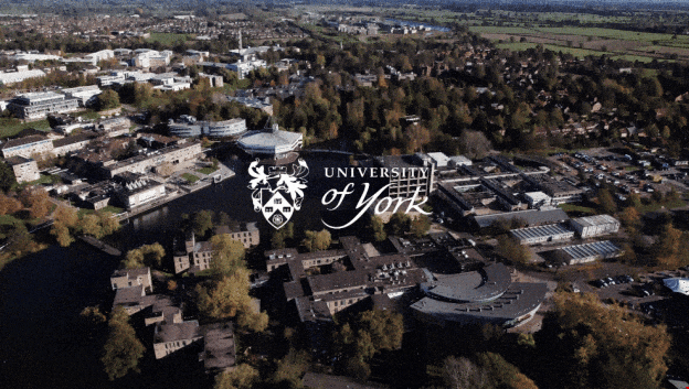 約克大學.png