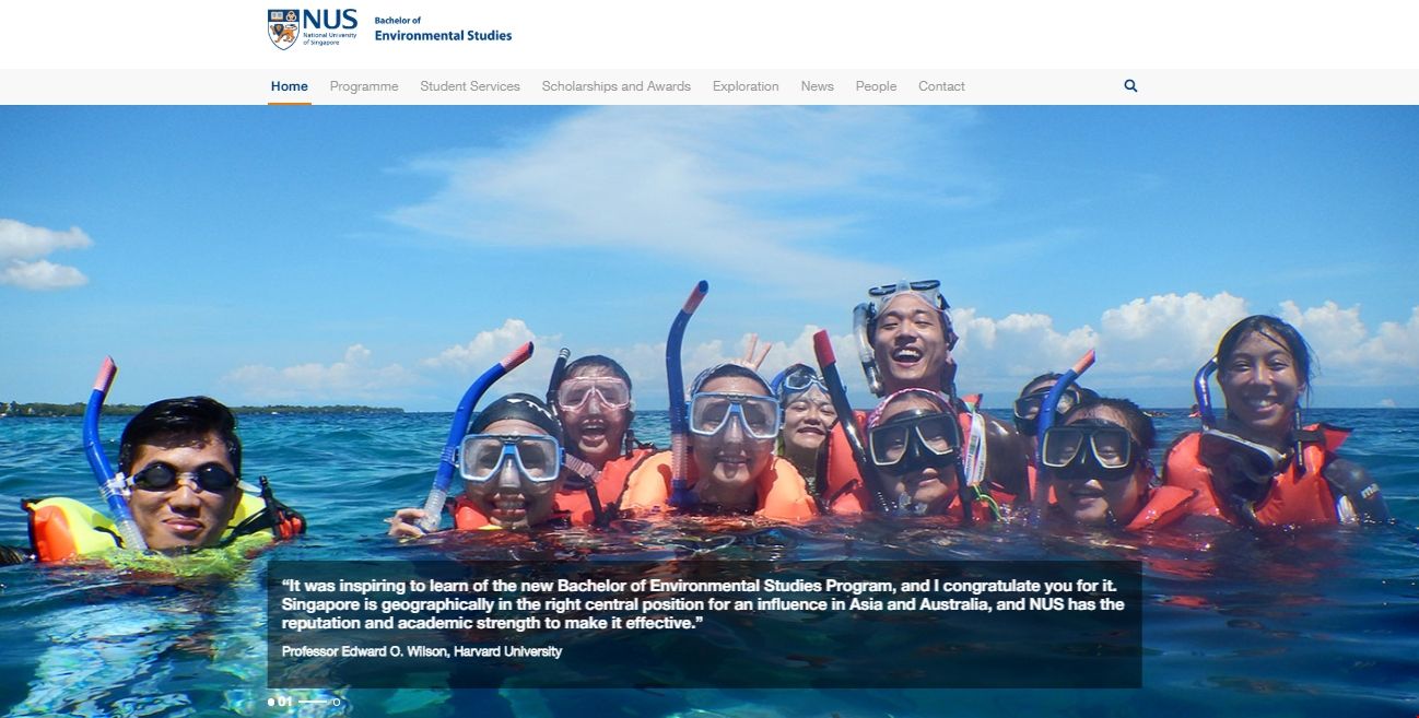 NUS本科環(huán)境研究學(xué)士.png